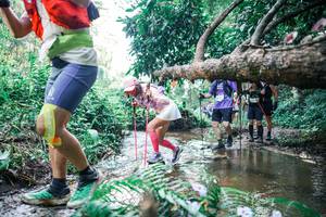 BIB: 
                            <button type="button" onclick="openModal(25451622)" class="btn btn-primary btn-sm float-right btn-popup" data-toggle="modal" data-target=".modal-high-quality">
                        <i class="fas fa-shopping-cart"></i> Add to Cart
                    </button>
                                            <button type="button" onclick="isThisMe(25451622, true)" class="btn btn-success btn-sm float-right btn-popup btn-isme hidden" data-toggle="tooltip" data-placement="bottom" title="นี่คือรูปของคุณใช่ไหม คลิกที่นี่เพื่อเอาเข้าอัลบั้ม">
                        <i class="fas fa-plus"></i> Add to album
                    </button>
                    <button type="button" onclick="isThisMe(25451622, false)" class="btn btn-warning btn-sm float-right btn-popup btn-isnotme hidden">
                        <i class="fas fa-ban"></i> Remove from album
                    </button>